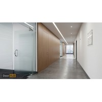 Sandblasted Tempered Glass Pivot Door 10mm UAE for Clinic Privacy